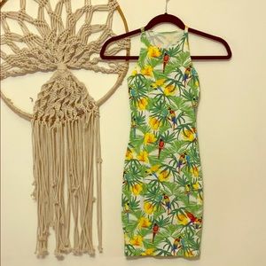 American Apparel Tropical Bodycon Dress